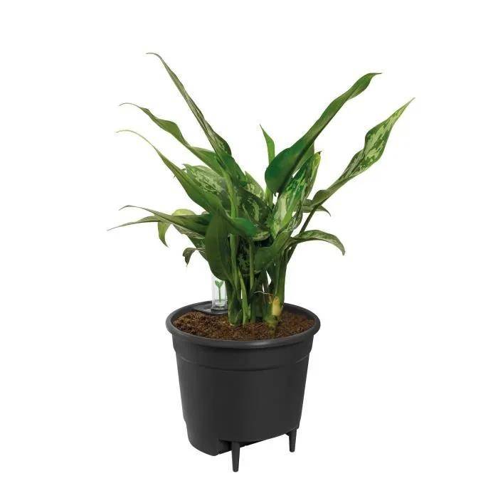 Pot à fleurs auto-arrosant noir Ø 43 x H 39 cm modèle 44 - Elho - Imagen 4