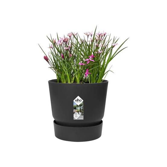 Pot de fleurs rond plastique noir Ø 39 cm H 36,8 cm – ELHO - Image 21