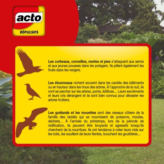 Acto - Acto - Repulsif sonore oiseaux mouettes goélands 65 m2 - Image 5