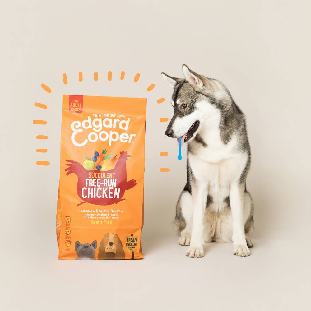 Edgard & Cooper - Croquettes chien adulte sans céréales poulet dinde volailles 12 kg - Edgard & Cooper - Imagen 3