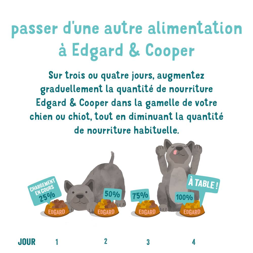 Nourriture Chien Senior Poulet-Saumon frais 400g Sans Céréales – EDGARD AND COOPER - Image 12