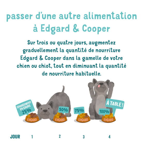 Nourriture Chien Senior Poulet-Saumon frais 400g Sans Céréales – EDGARD AND COOPER - Image 5