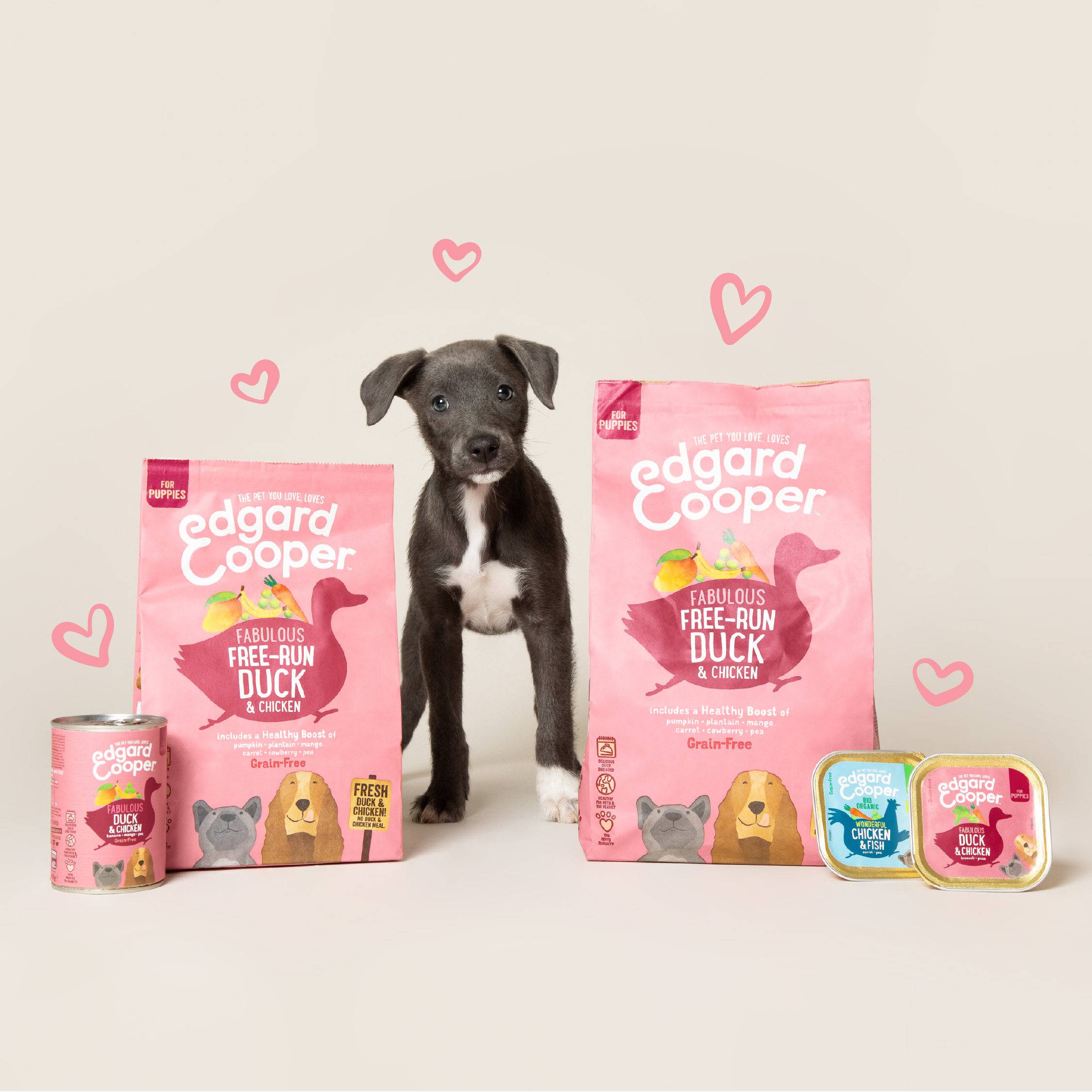 Edgard & Cooper - Pâtée pour chiot sans céréales canard poulet 400 g - Edgard & Cooper - Image 3