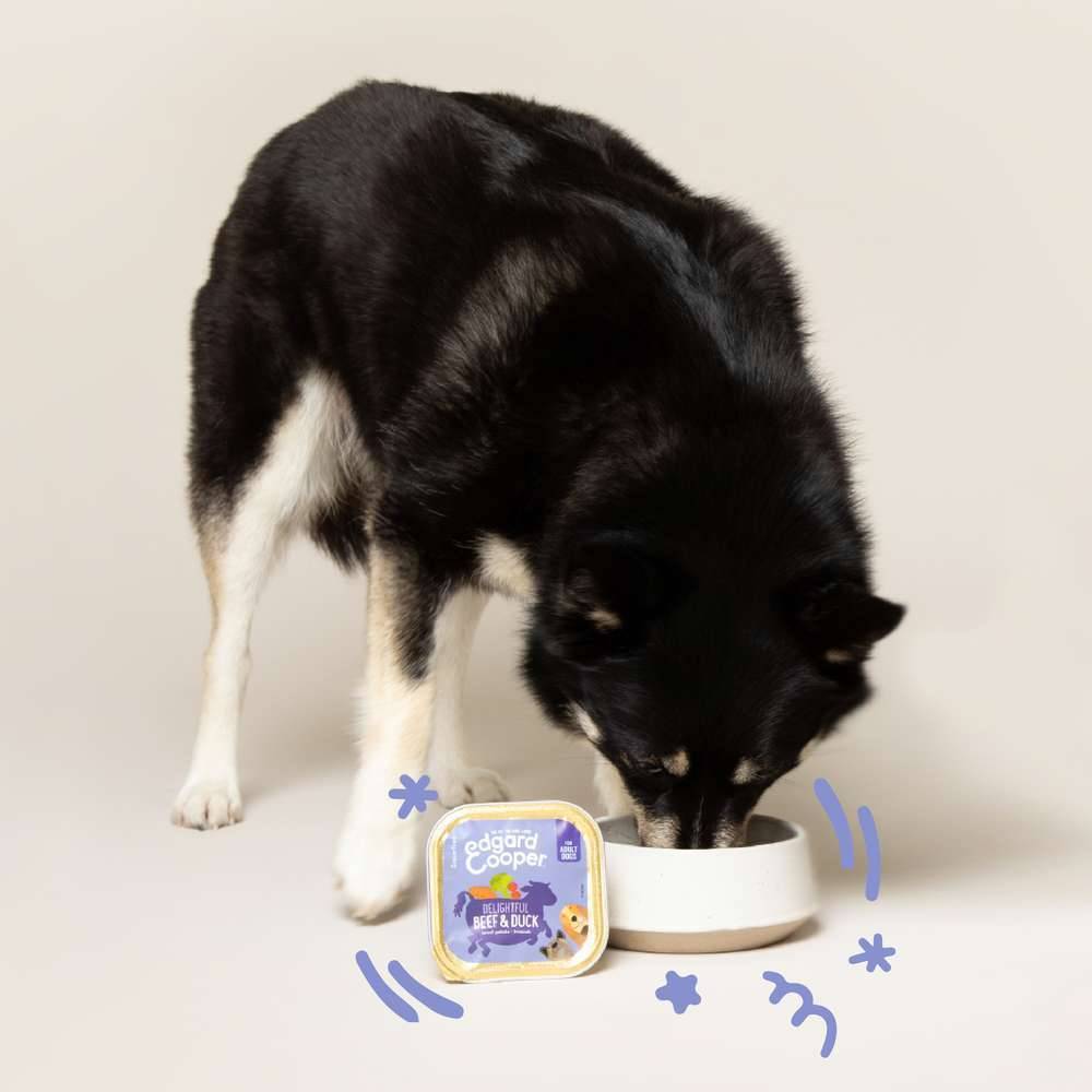 Edgard & Cooper - Comida húmeda para perros adultos sin cereales de res y pato 150 g - Edgard & Cooper - Imagen 12