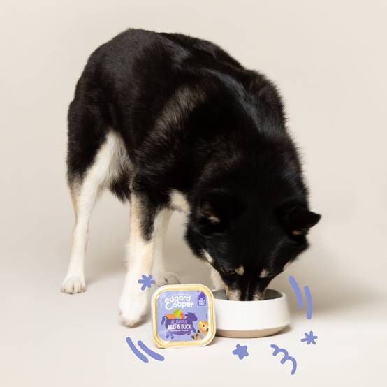 Edgard & Cooper - Pâtée chien adulte sans céréales boeuf canard 150 g - Edgard & Cooper - Image 2