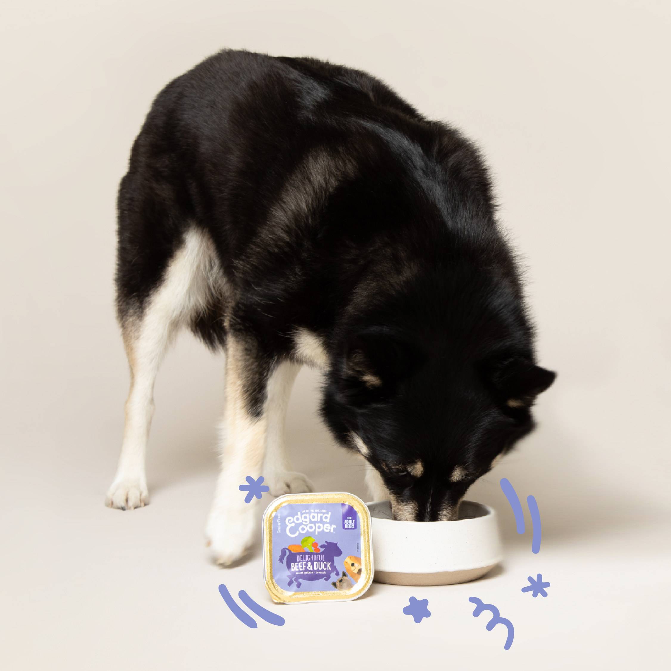 Edgard & Cooper - Comida húmeda para perros adultos sin cereales de res y pato 150 g - Edgard & Cooper - Imagen 2