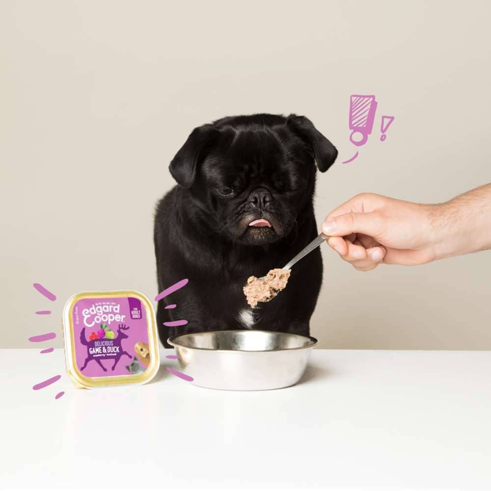 Edgard & Cooper - Pâtée chien adulte sans céréales gibier canard 150 g - Edgard & Cooper - Image 9