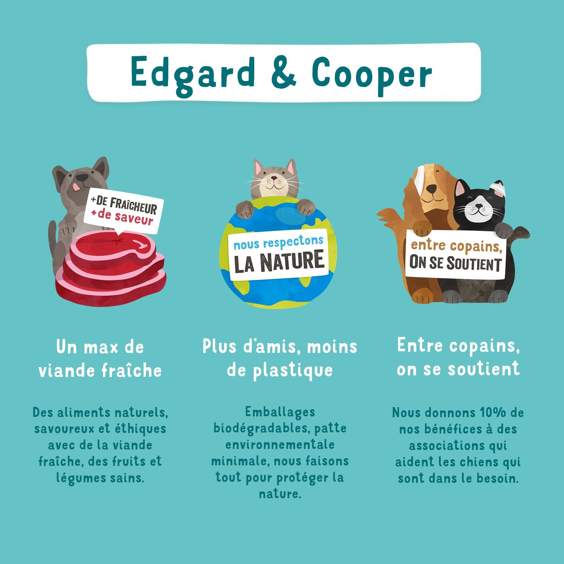 Edgard & Cooper - Pâtée chien adulte bio sans céréales boeuf 100 g - Edgard & Cooper - Image 2