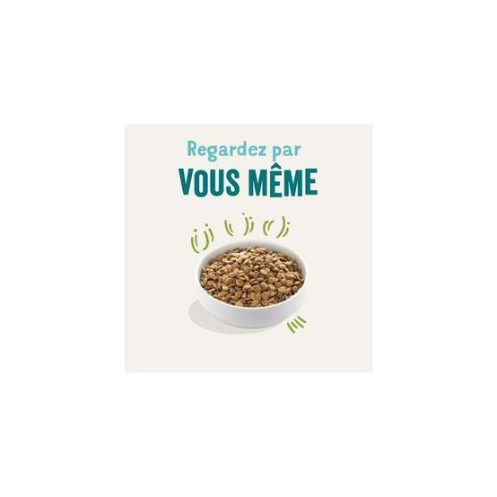 Edgard & Cooper - Croquettes chien adulte sans céréales agneau 700 g - Edgard & Cooper - Image 11