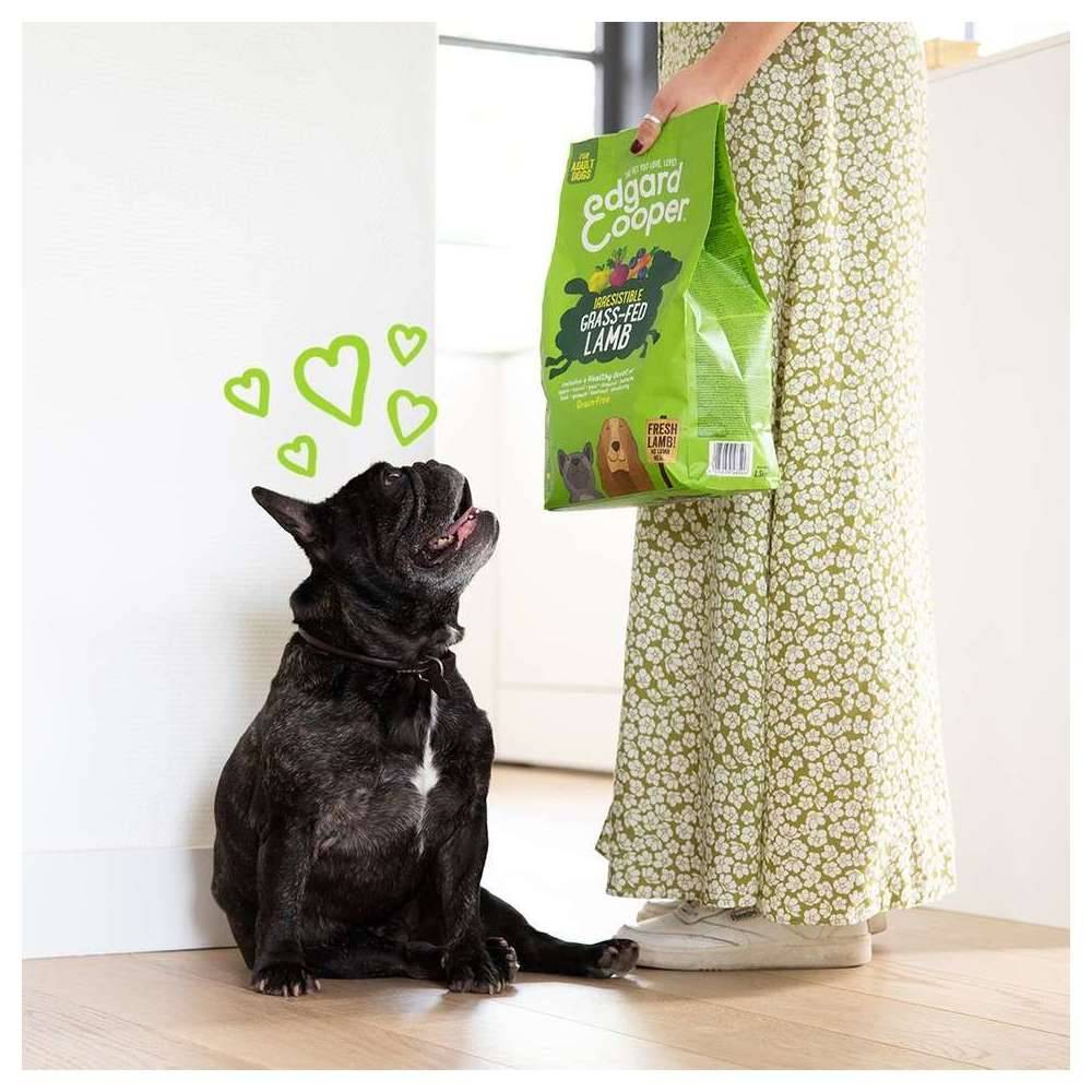 Edgard & Cooper - Croquettes chien adulte sans céréales agneau 700 g - Edgard & Cooper - Image 5