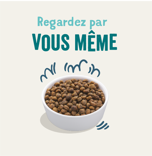 Edgard & Cooper - Croquetas Naturales Gato Sin Cereales Pescado Fresco 300 g - Imagen 9