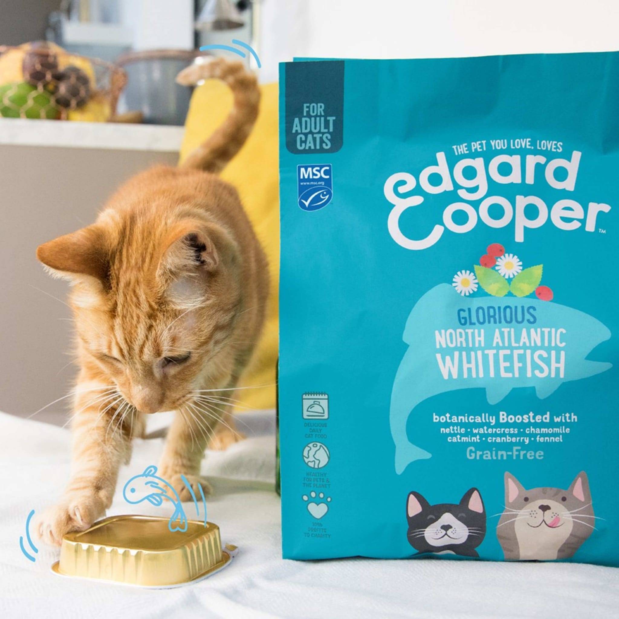 Edgard & Cooper - Croquetas Naturales Gato Sin Cereales Pescado Fresco 300 g - Imagen 10