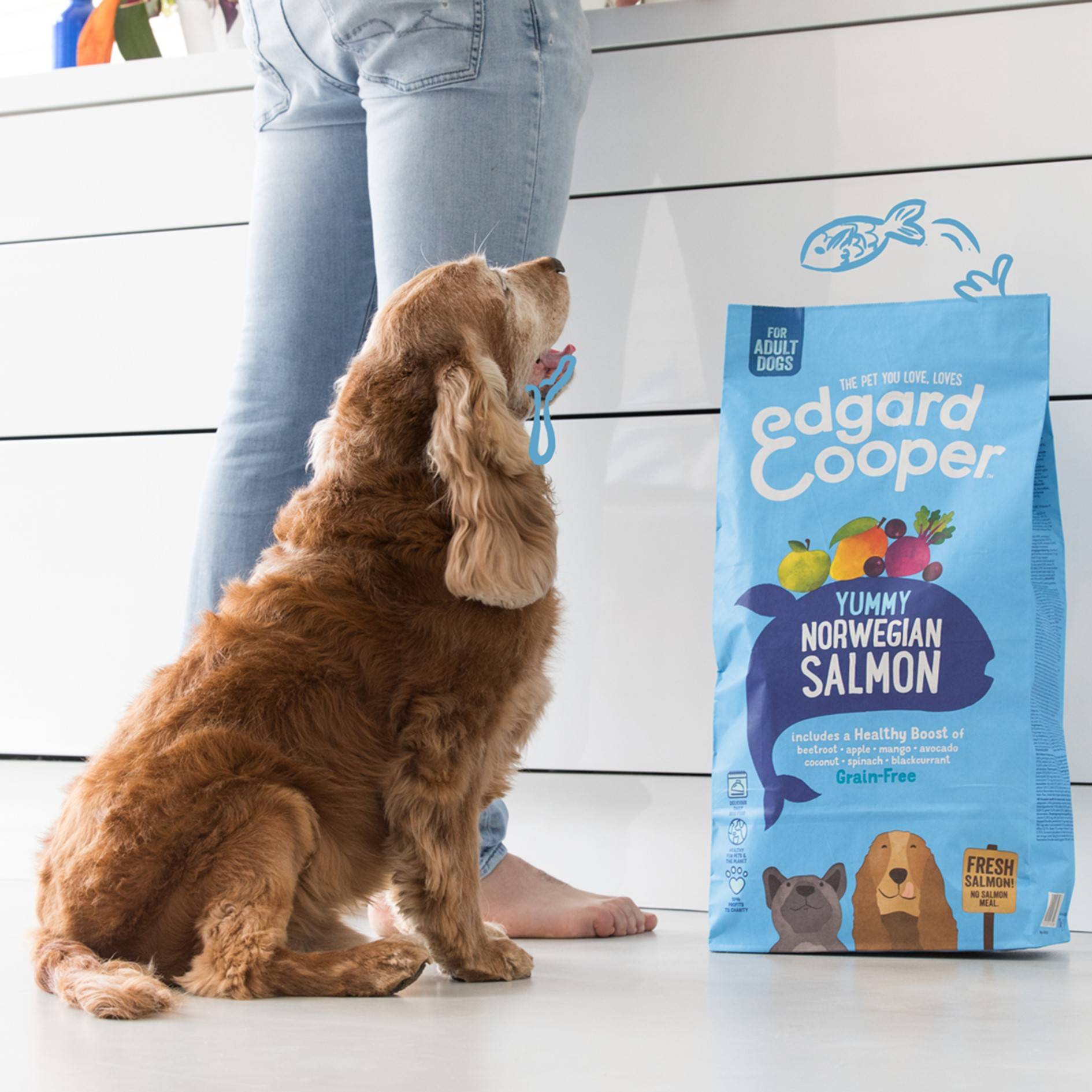 Edgard & Cooper - Croquettes chien adulte sans céréales saumon 2,5 kg - Edgard & Cooper - Image 10