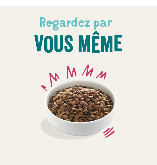 Edgard & Cooper - Croquettes Naturelles Chien Sans Céréales Chevreuil/Canard 700 g - Image 4