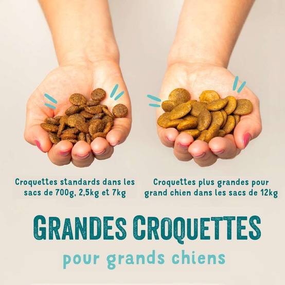 Edgard & Cooper - Croquettes chien senior sans céréales poulet saumon 2,5 kg – Edgard & Cooper - Image 5