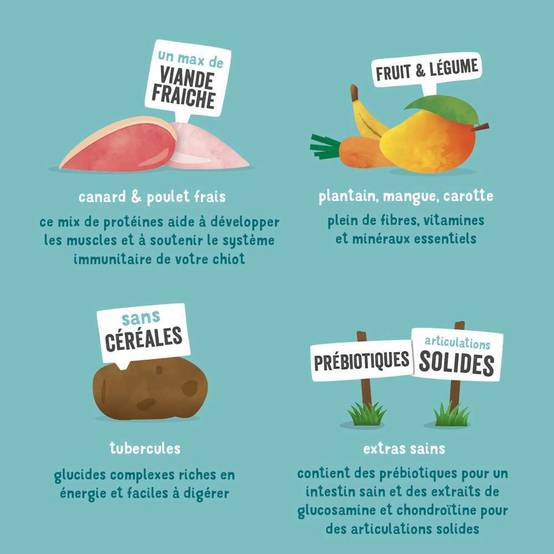 Edgard & Cooper - Croquettes Chiot Sans Céréales Canard Poulet Frais 2.5 kg – Edgard & Cooper - Image 12