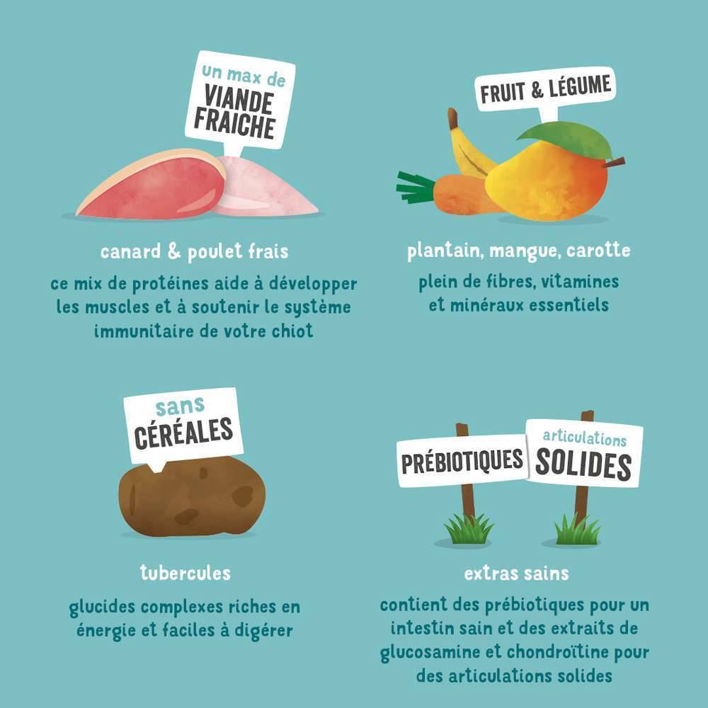 Edgard & Cooper - Croquettes Chiot Sans Céréales Canard Poulet Frais 2.5 kg – Edgard & Cooper - Image 12