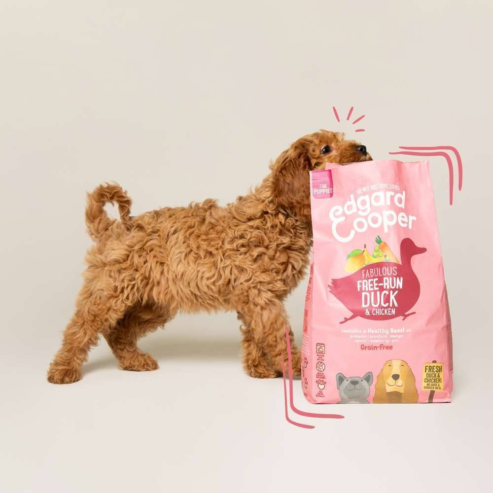 Edgard & Cooper - Croquettes Chiot Sans Céréales Canard Poulet Frais 2.5 kg – Edgard & Cooper - Image 3