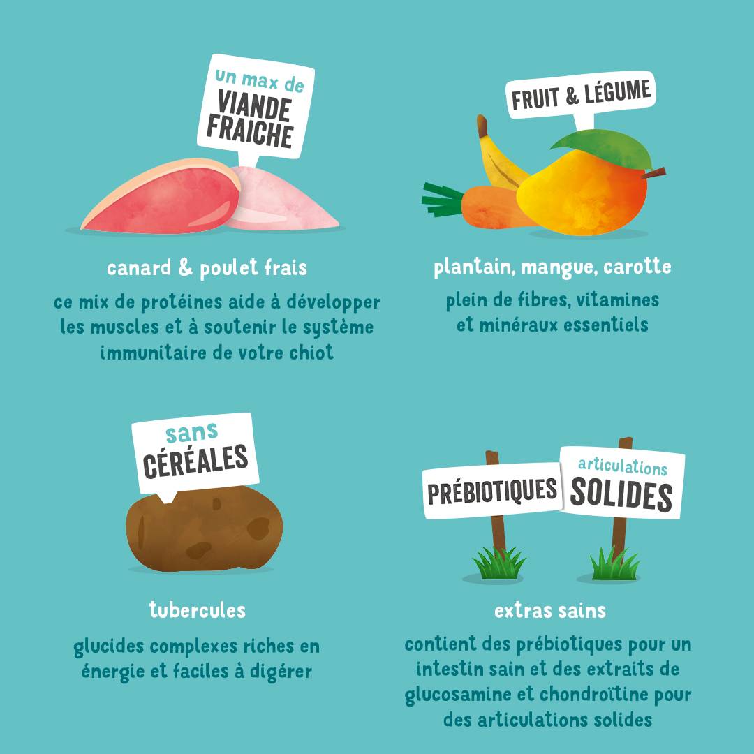 Edgard & Cooper - Croquettes Chiot Sans Céréales Canard Poulet Frais 2.5 kg – Edgard & Cooper - Image 5