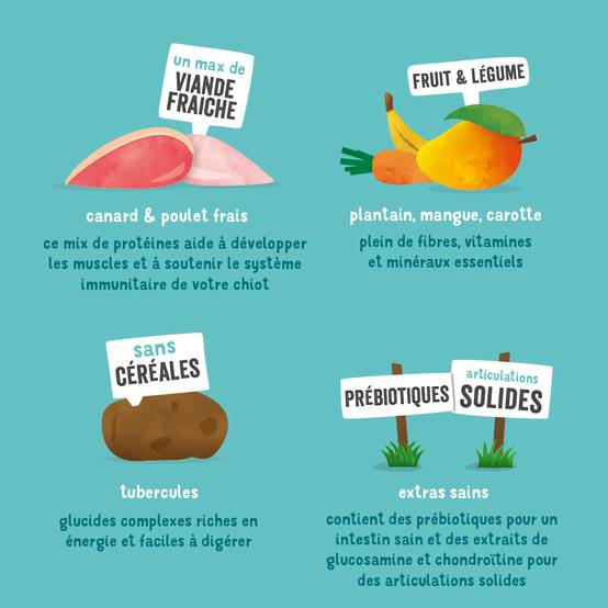 Edgard & Cooper - Croquettes chiot sans céréales canard poulet 7 kg - Edgard & Cooper - Image 9