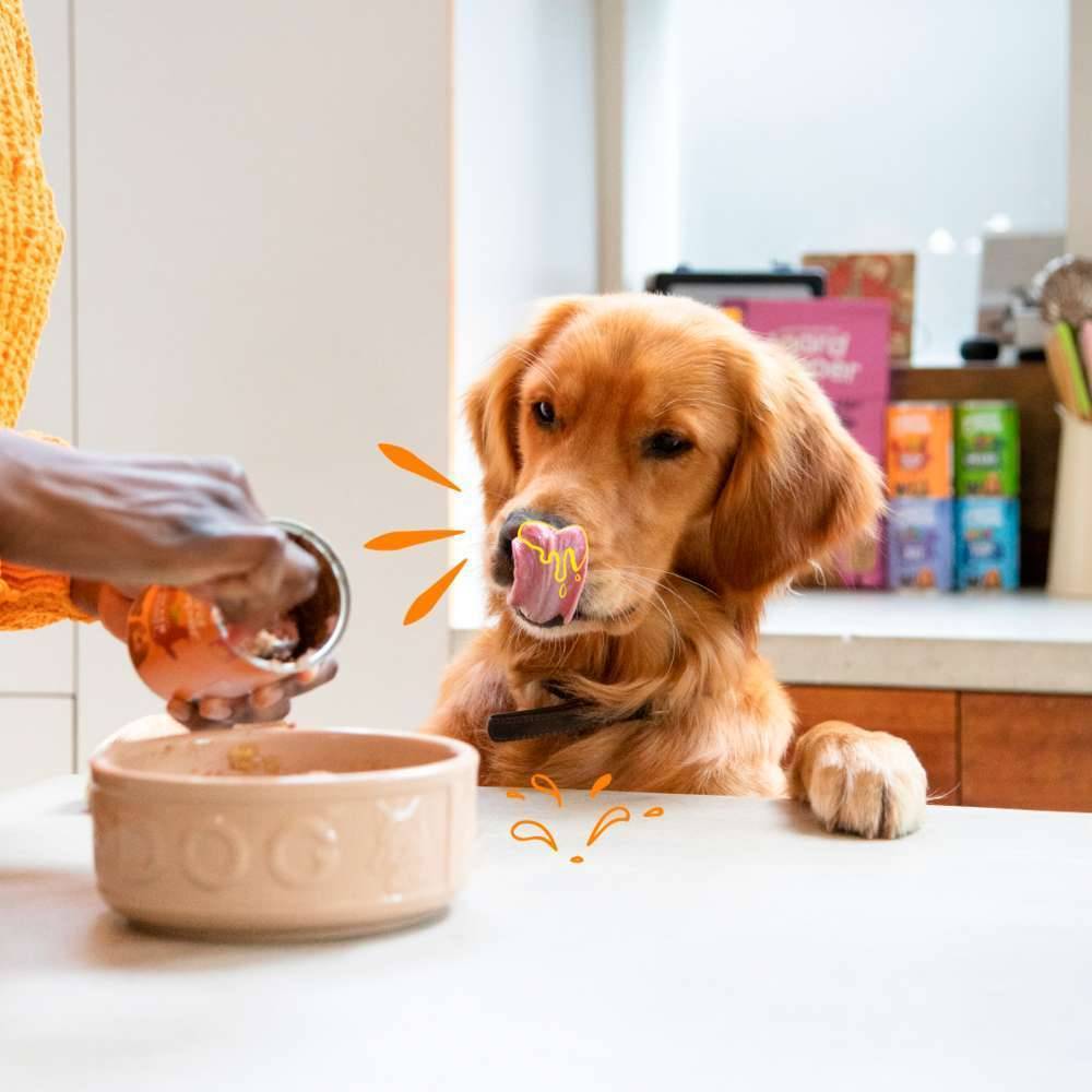 Edgard & Cooper - Pâtée chiens adulte sans céréales Poulet Dinde Frais 400g - Edgard & Cooper - Imagen 5