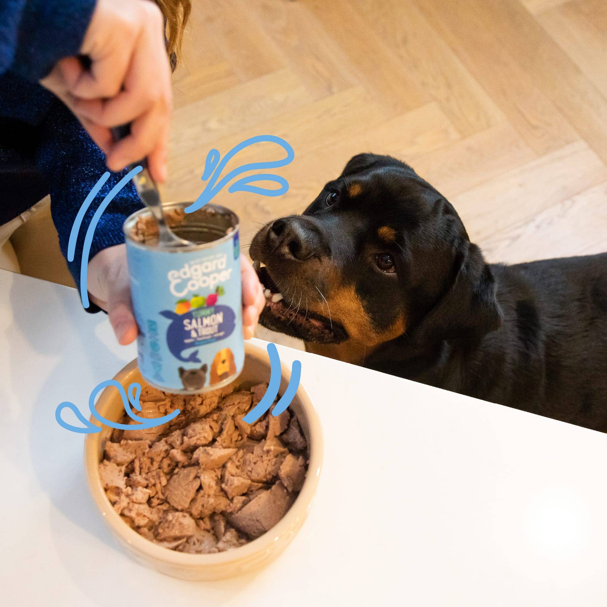 Edgard & Cooper - Pâtée Naturelle - Chien Sans Céréales Saumon/Truite frais 400 g - Image 8