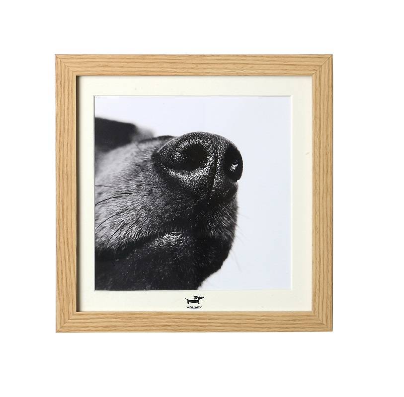Wouapy - Cadres Chien - Imagen 4