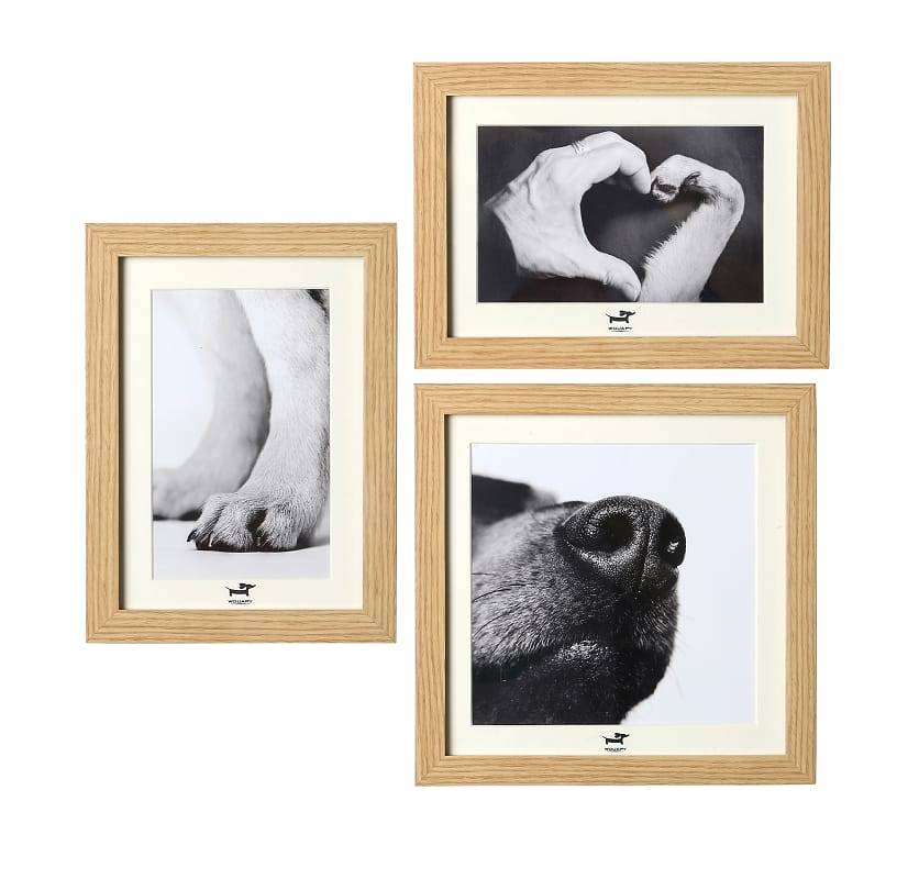 Wouapy - Cadres Chien - Imagen 1