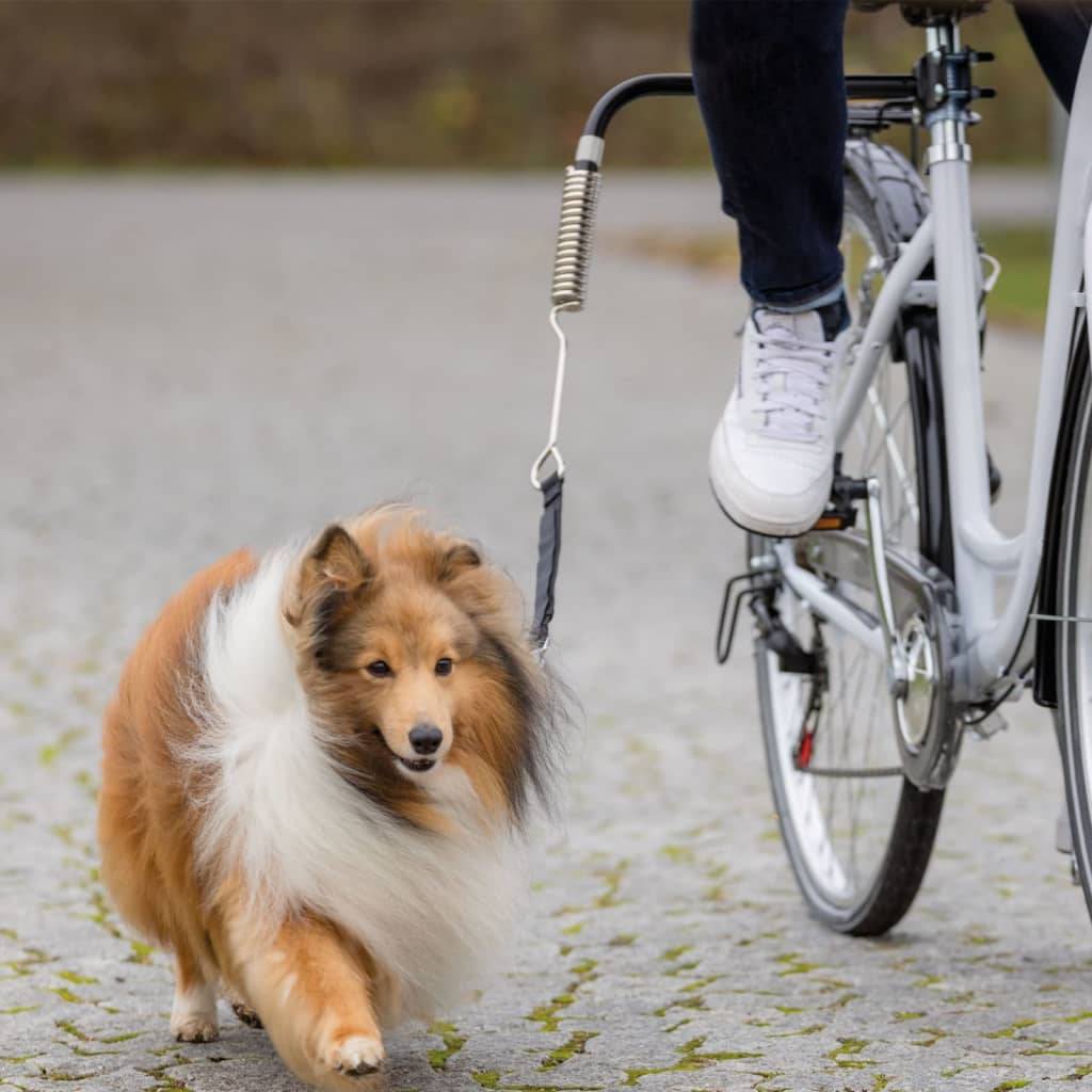 Trixie - Ensemble Laisse de Vélo – TRIXIE