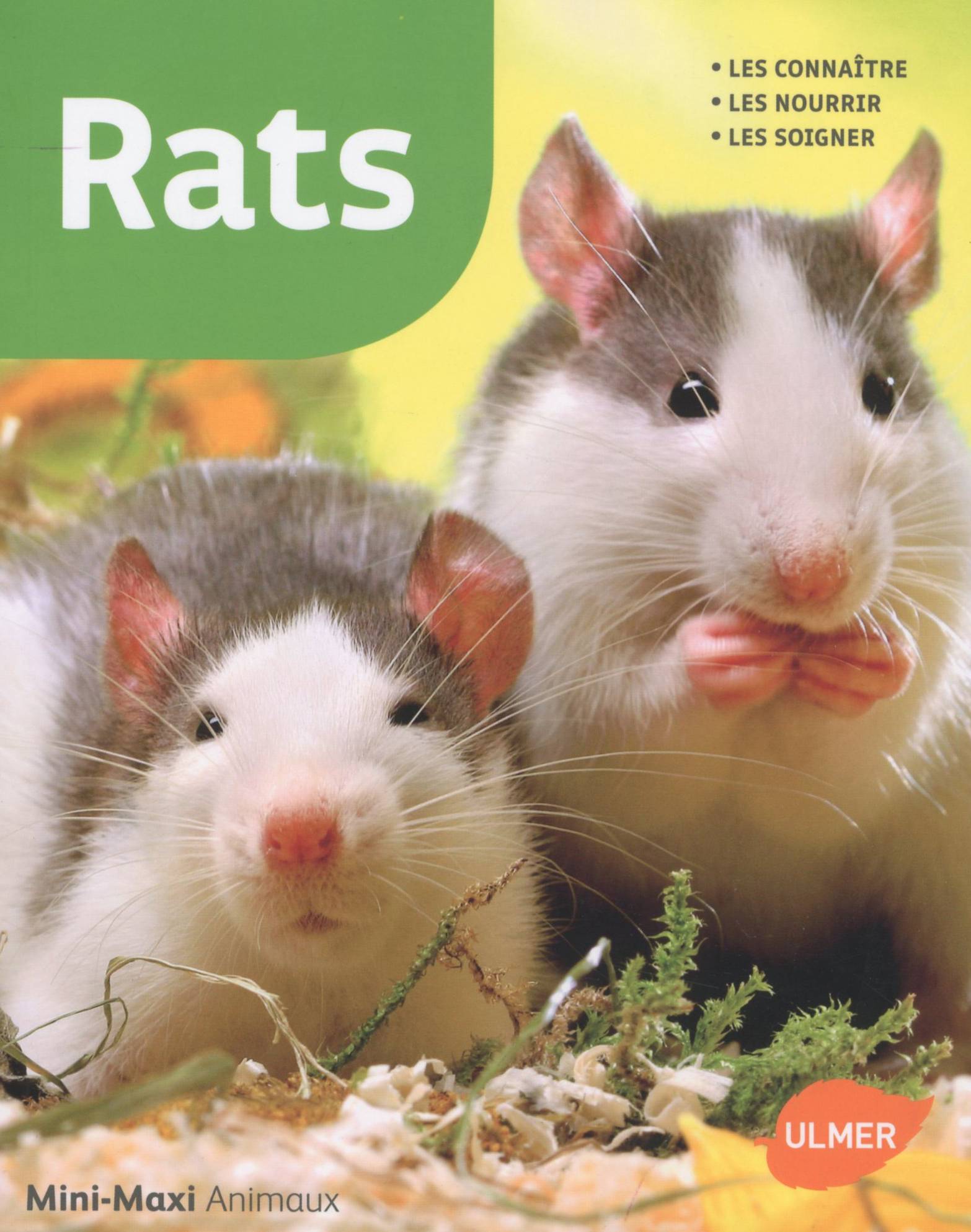 Ulmer - Rats