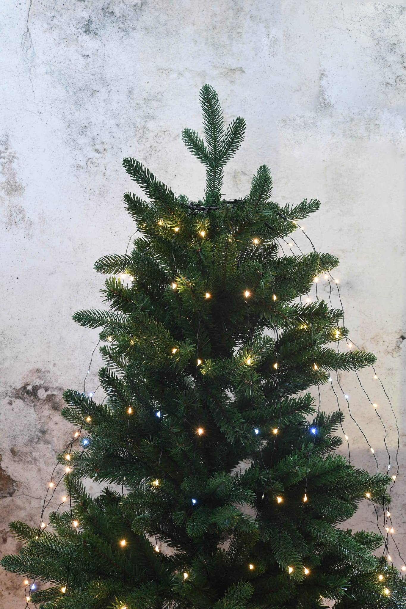 Blachere Illumination - Cortina para árbol con 252 LEDS y 14 caídas H.1,80m