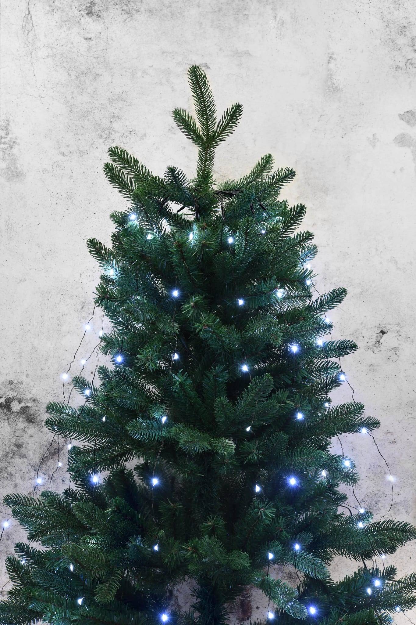 Blachere Illumination - Rideau pour sapin avec 210 micro LEDS Flash & 14 descentes H1,80m - Image 1
