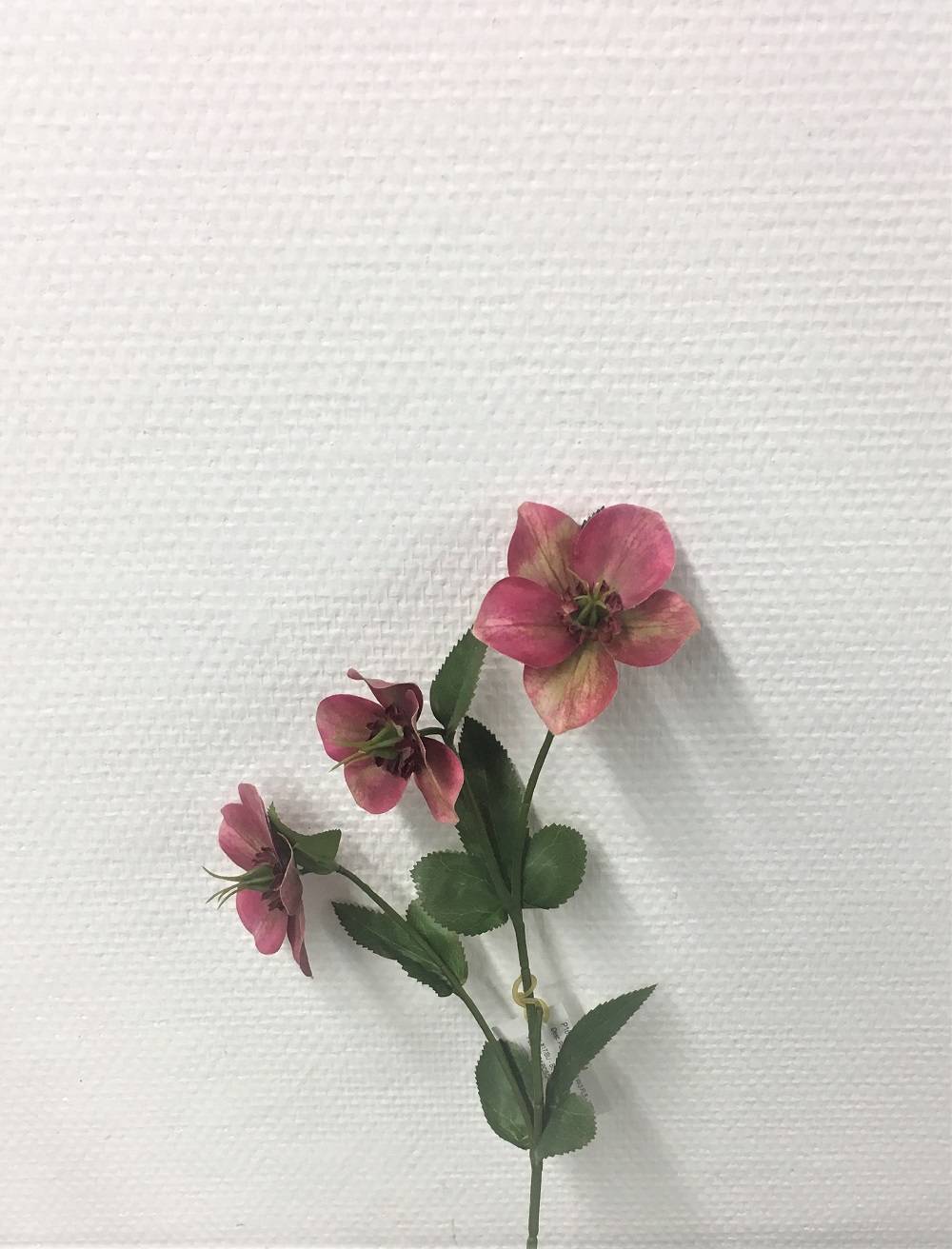 Kalyste - Tige hellebore artificielle bordeaux L.38 x l.42 x H.38 cm - Image 2
