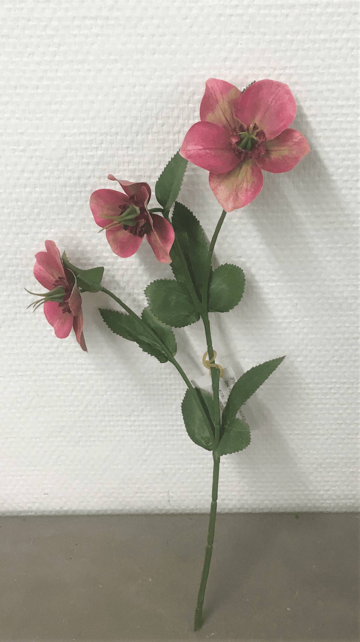 Kalyste - Tige hellebore artificielle bordeaux L.38 x l.42 x H.38 cm - Image 3