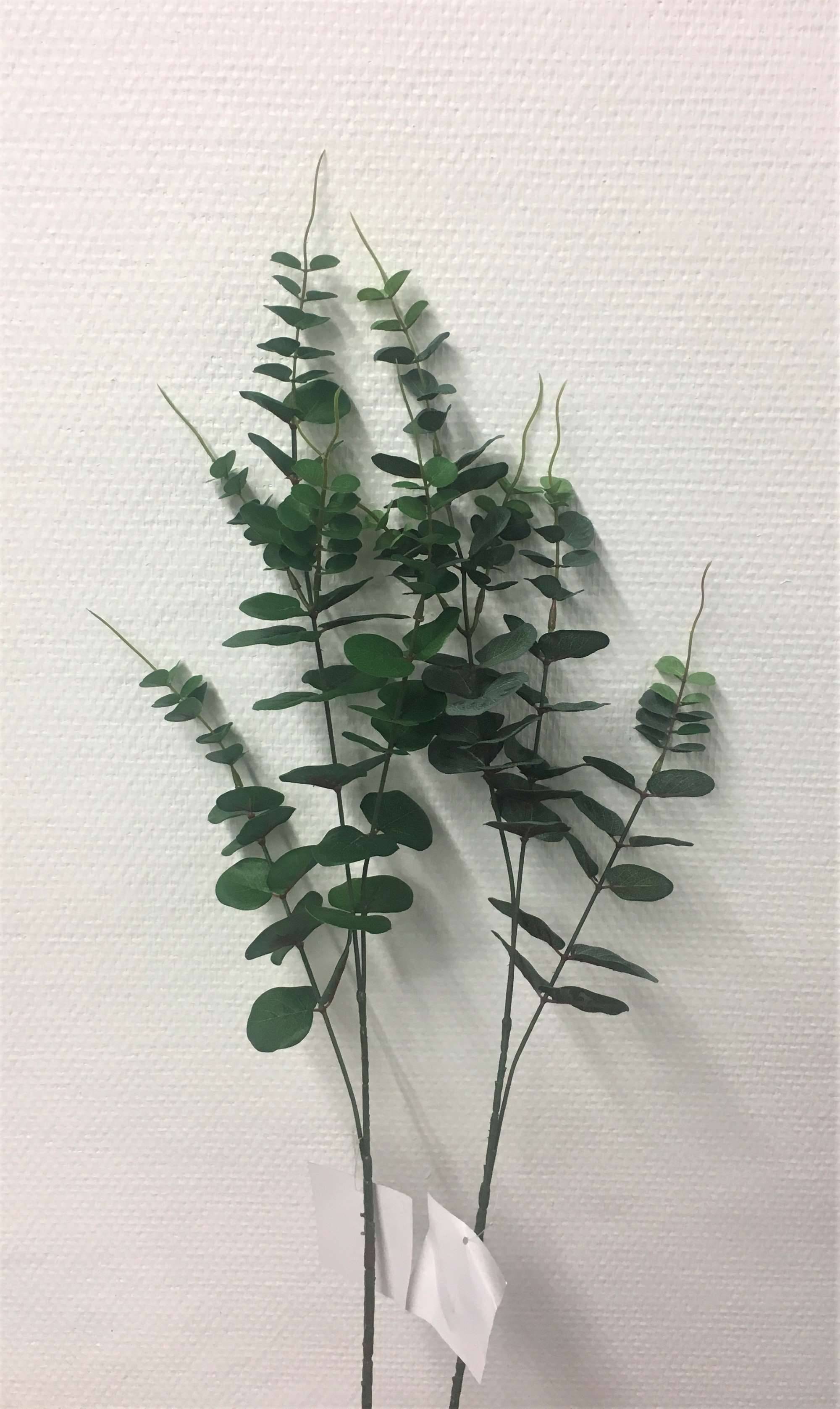 Kalyste - Kalyste - Tige Eucalyptus artificielle vert foncé H.78 cm - Image 2