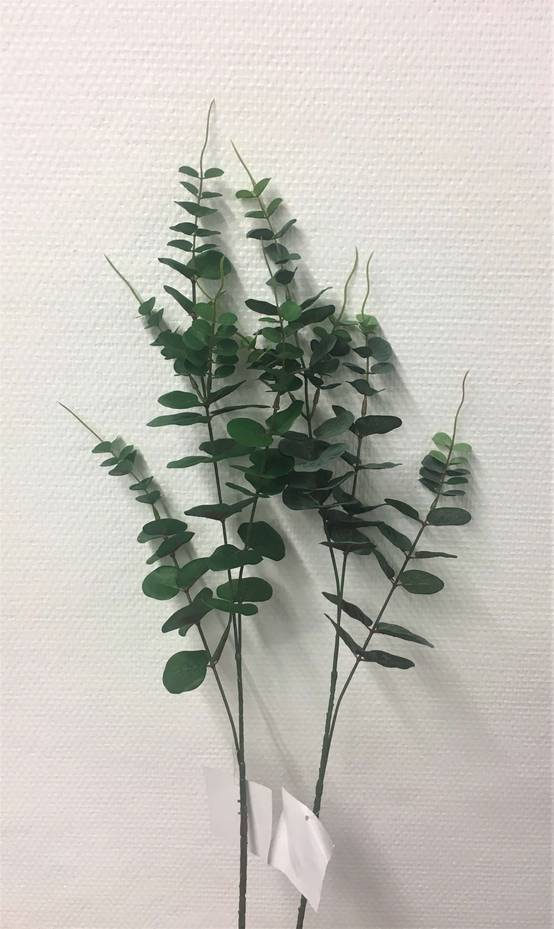 Kalyste - Kalyste - Tige Eucalyptus artificielle vert foncé H.78 cm - Image 1