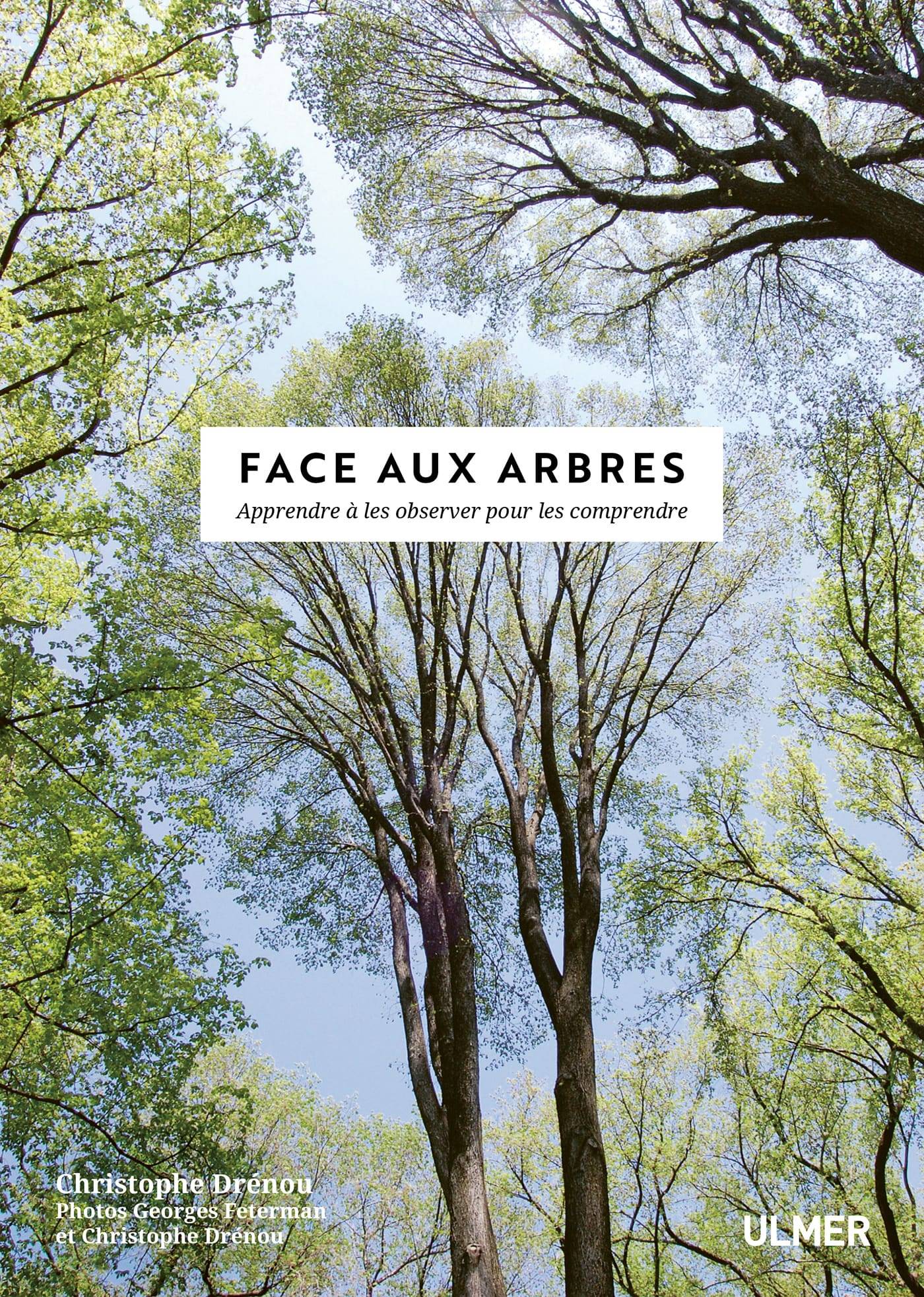 Ulmer - Face aux Arbres