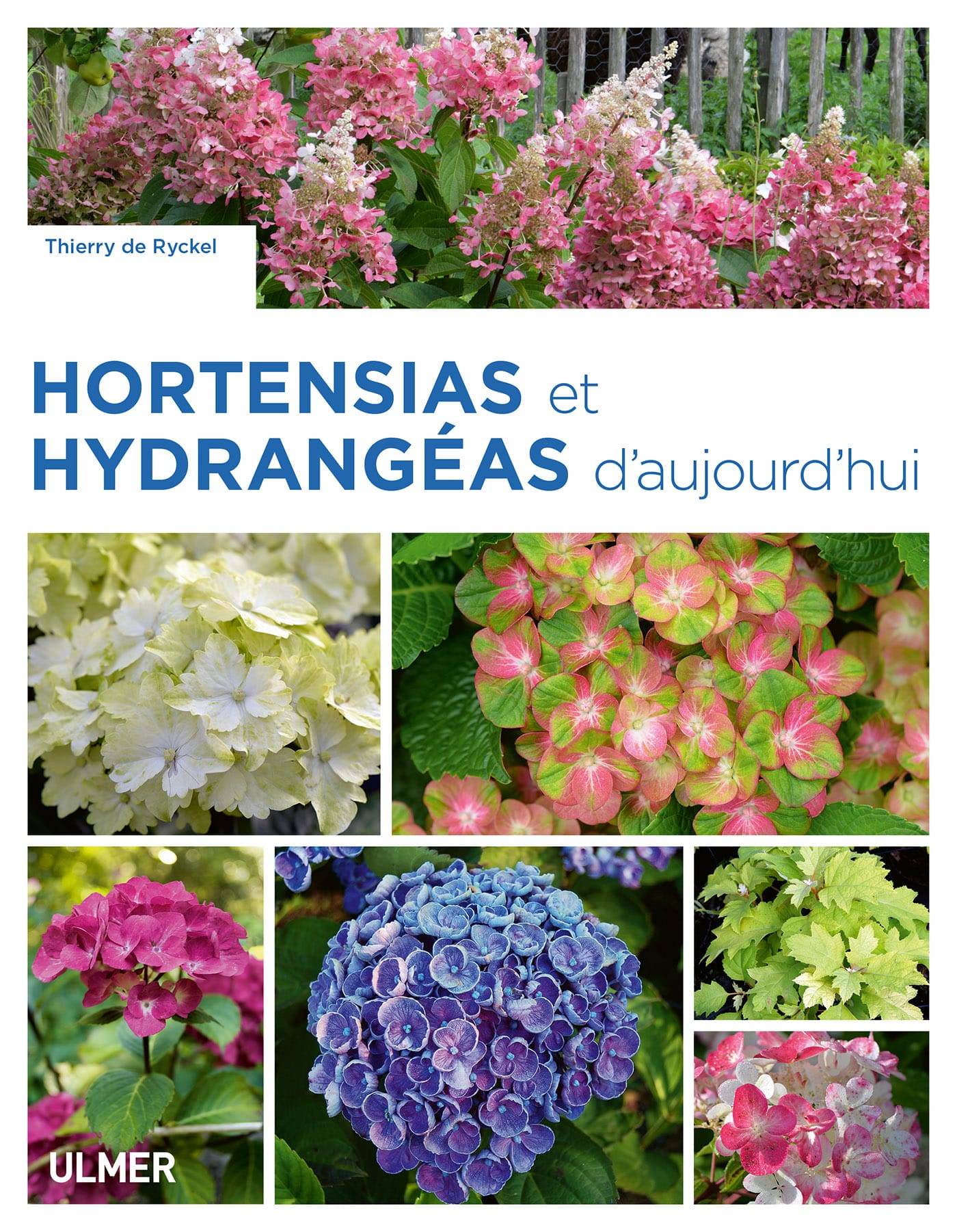 Ulmer - Hortensias et hydrangéas d'aujourd'hui