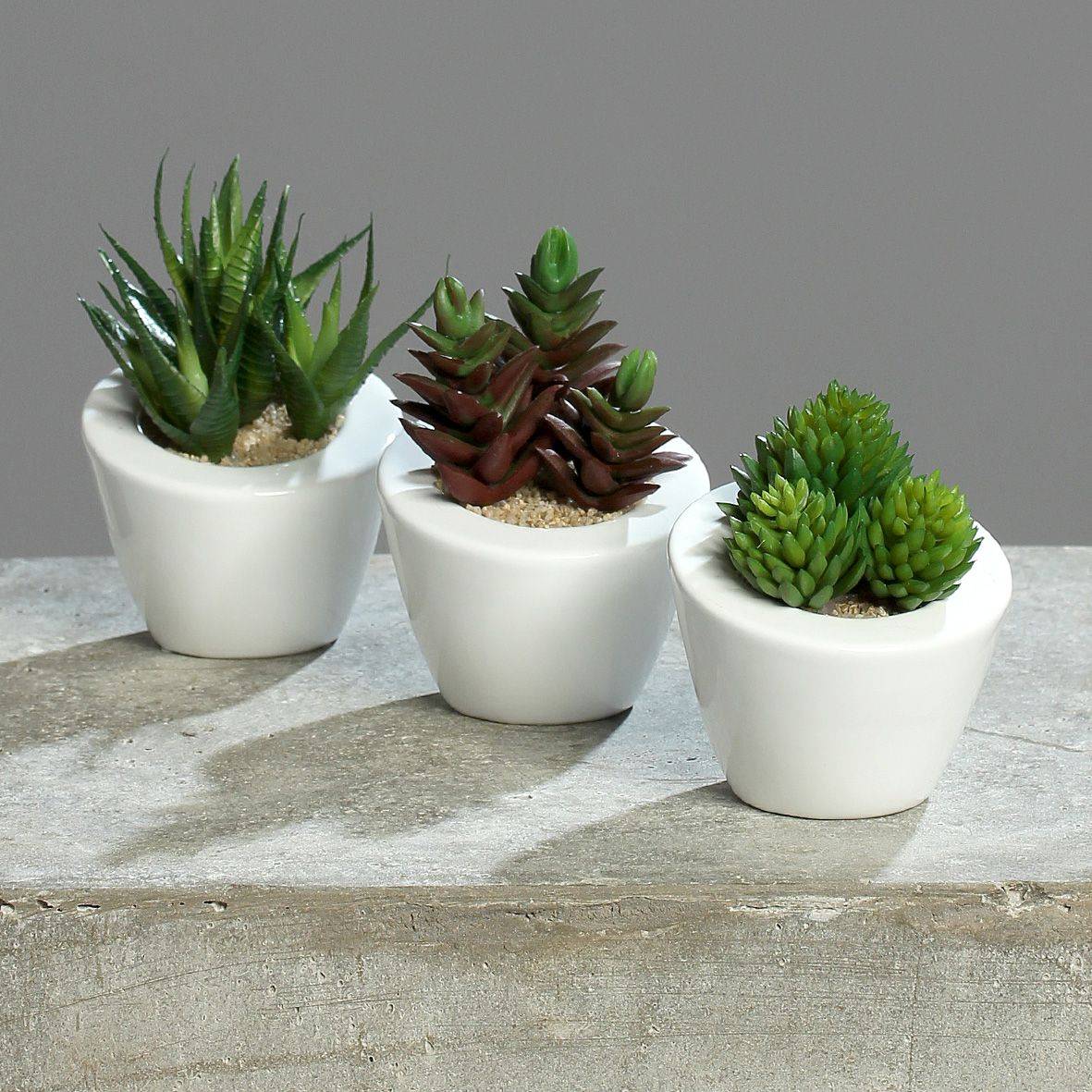 DPI - DPI - Succulente assortiment artificielle en pot H.9 cm