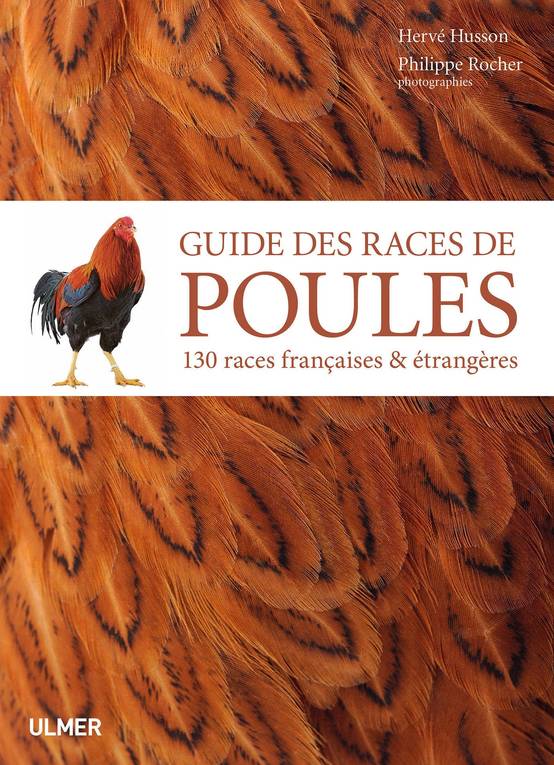 Ulmer - Guide des races de poules