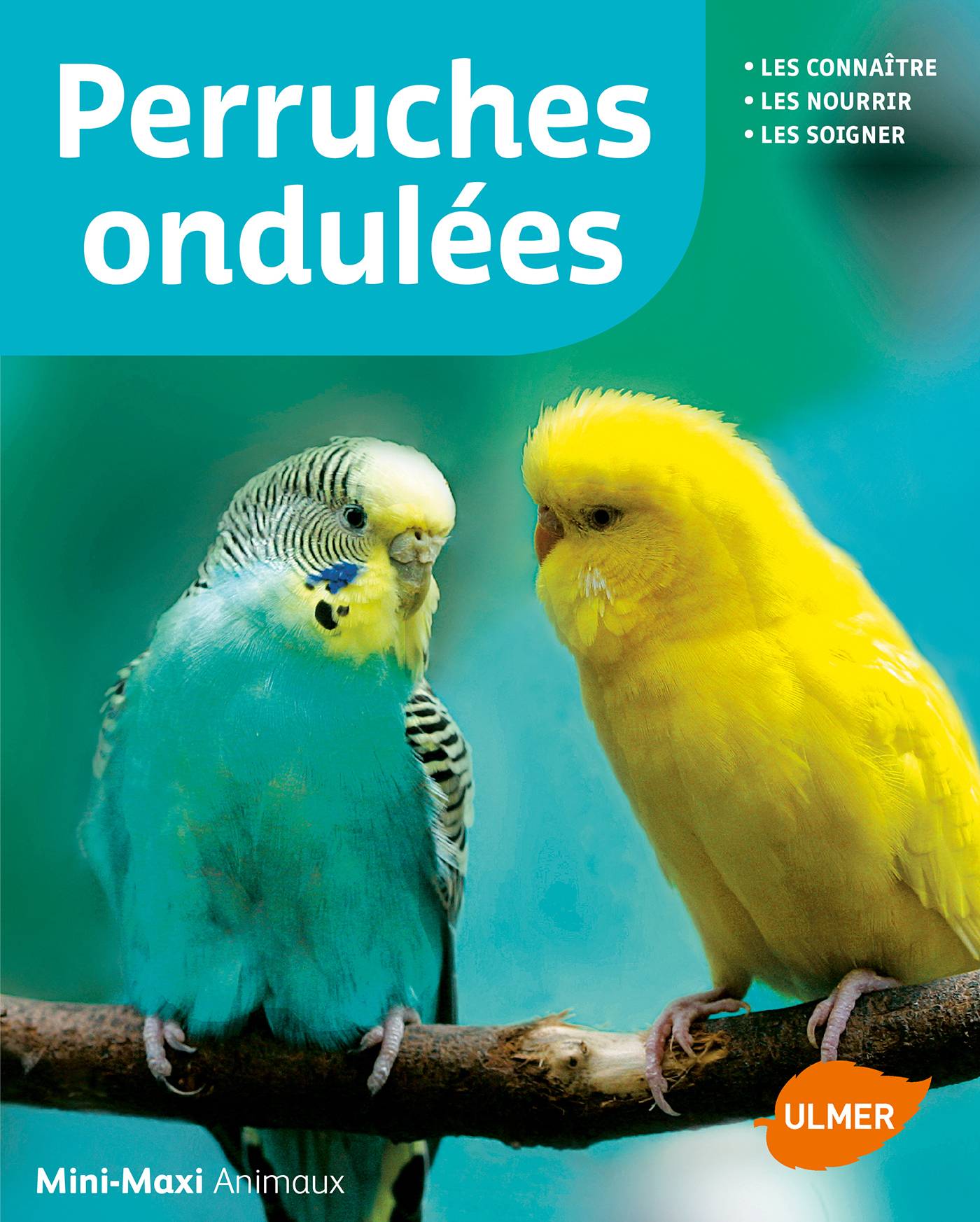 Ulmer - Perruches ondulées