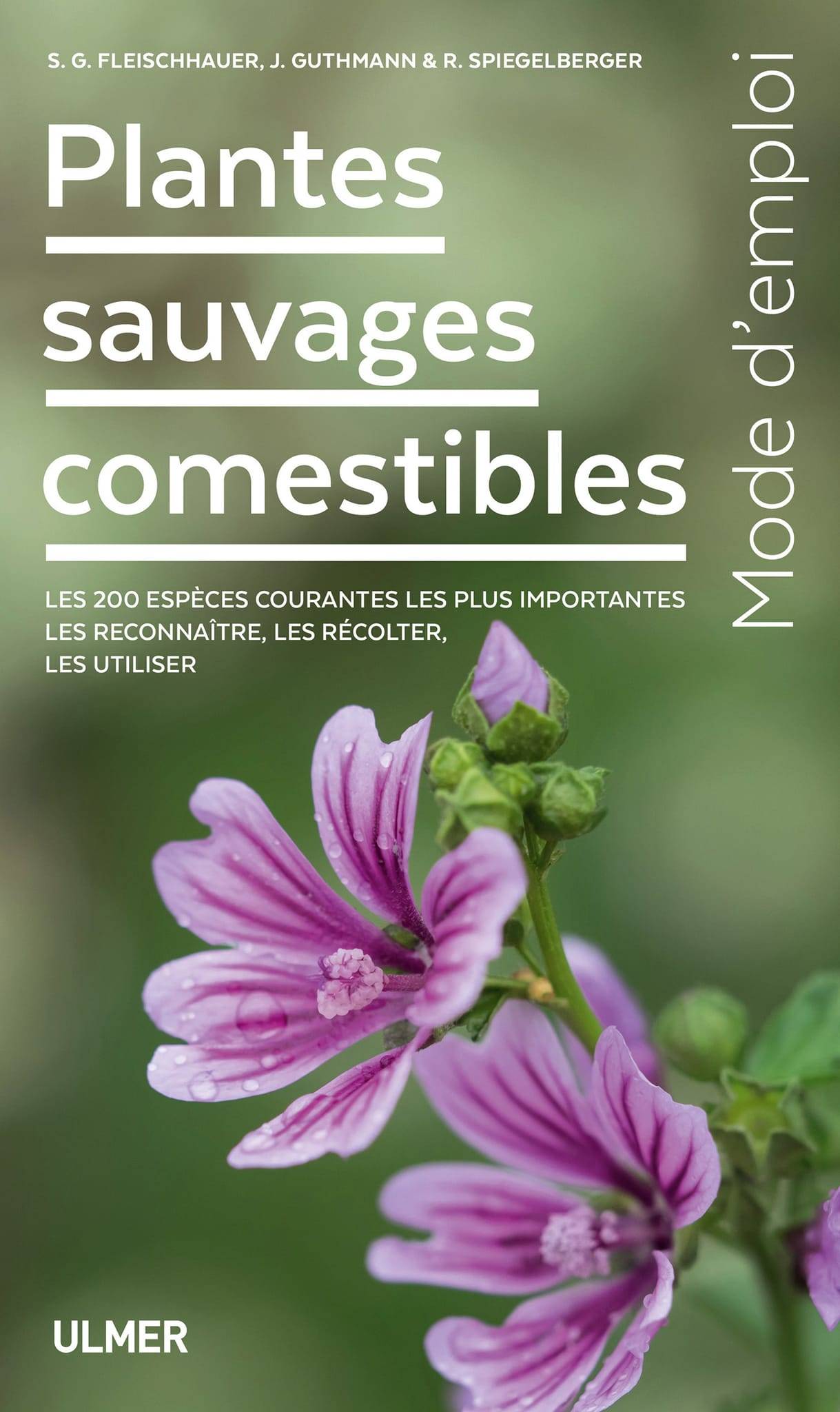 Ulmer - Plantes sauvages comestibles