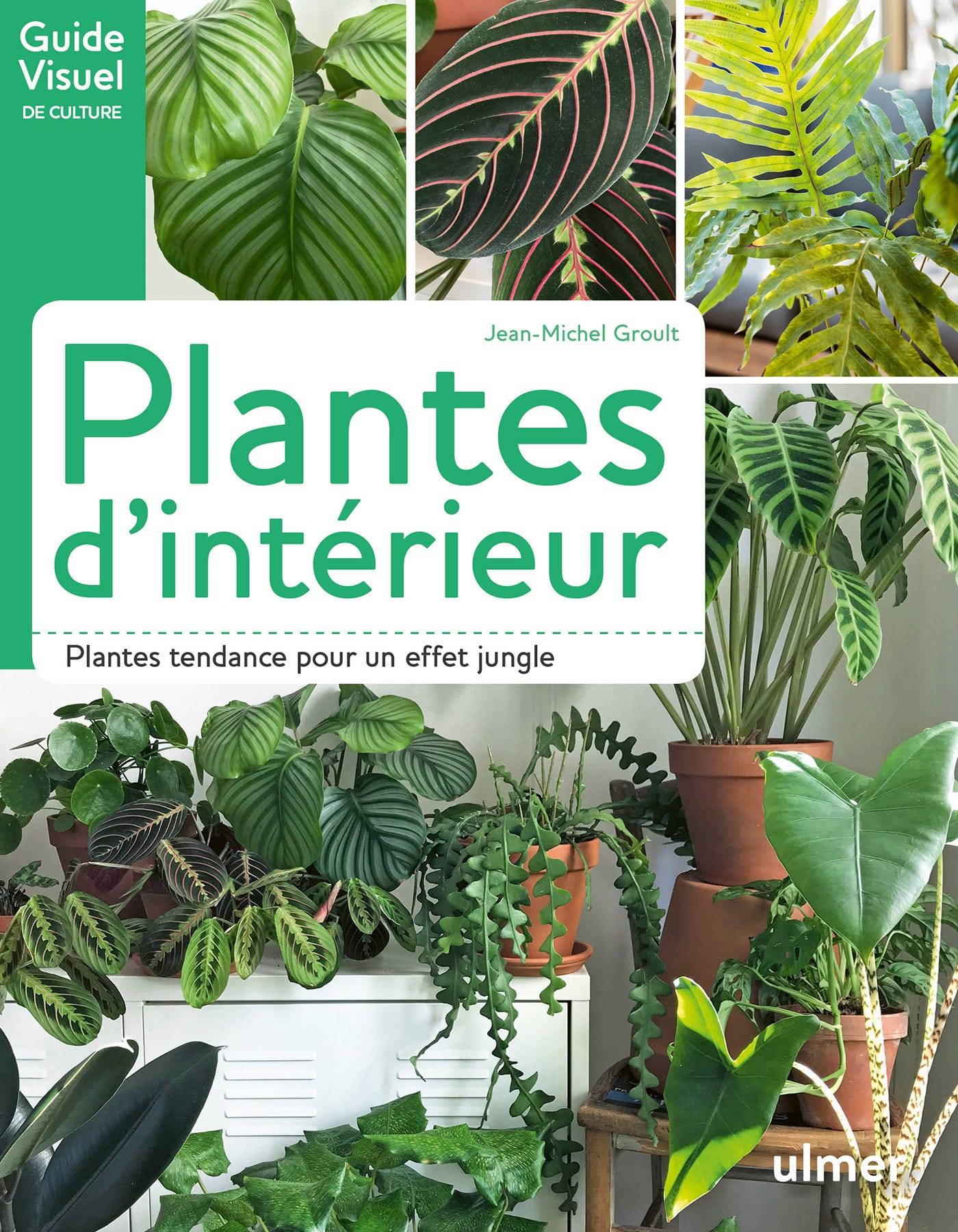 Ulmer - Plantes d'intérieur