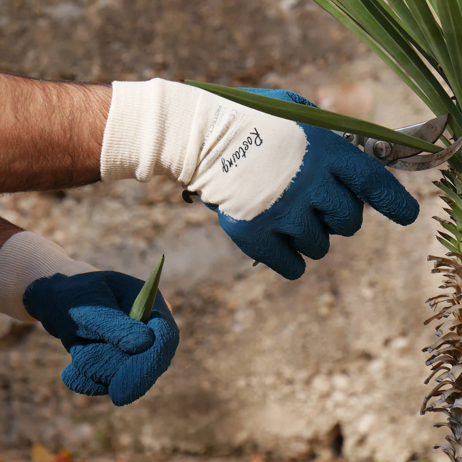 Rostaing - Rostaing - Gant jardin petits épineux en coton bleu - Taille 10 - Imagen 2
