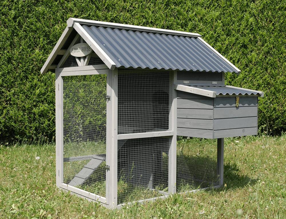 Lifland - Poulailler Poule House en sapin et PVC L.120 x l.121 x H.120.5 cm