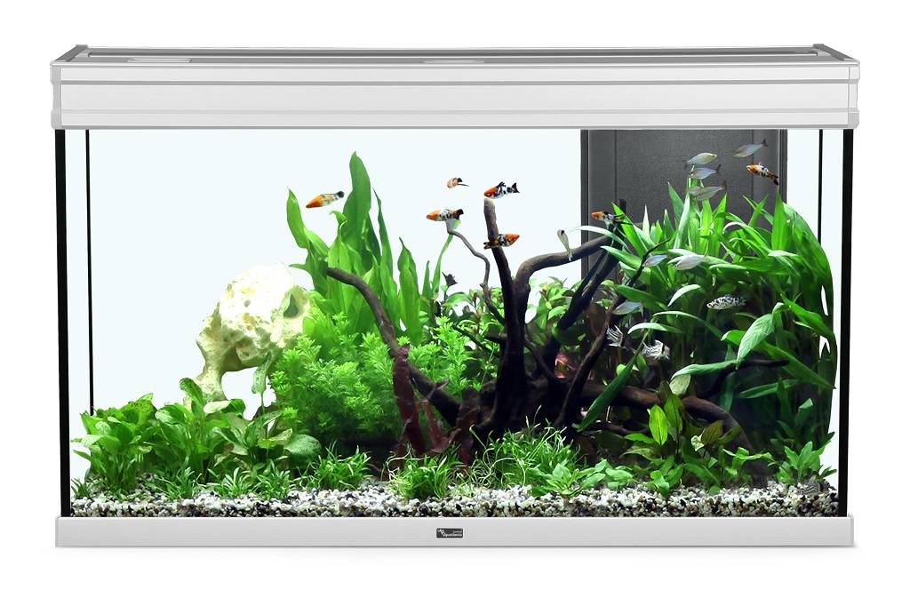 Aquatlantis - Acuario Elegance Expert 100 Inox Led - L.102,2 x l.40,4 x H.60cm - Imagen 1