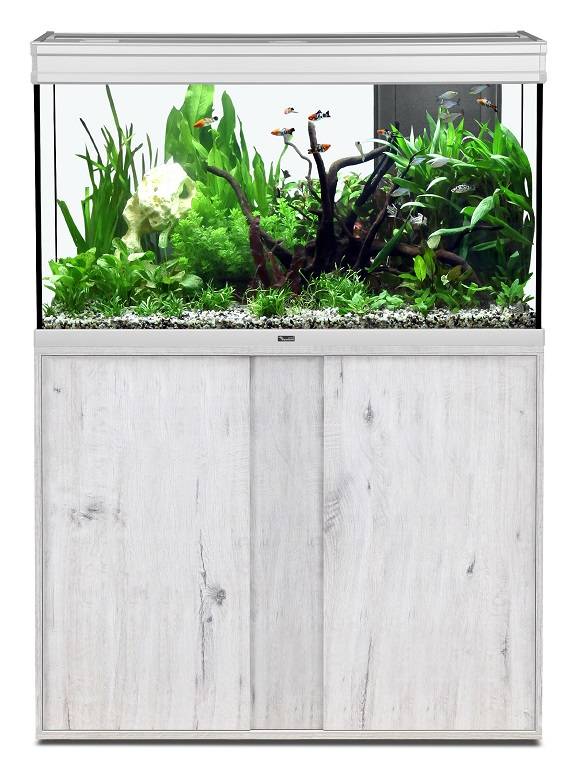 Aquatlantis - Acuario Elegance Expert 100 Inox Led - L.102,2 x l.40,4 x H.60cm - Imagen 3