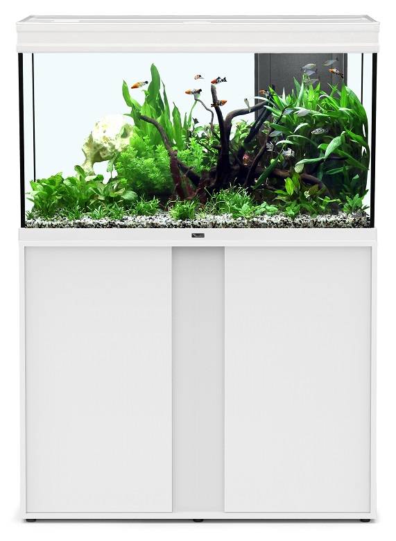 Aquatlantis - Acuario Elegance Expert 100 Inox Led - L.102,2 x l.40,4 x H.60cm - Imagen 9