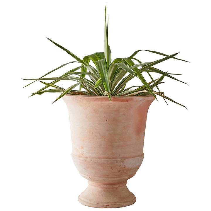 Vase en terre cuite finition naturelle Ø.43 x H.51 cm - Image 2