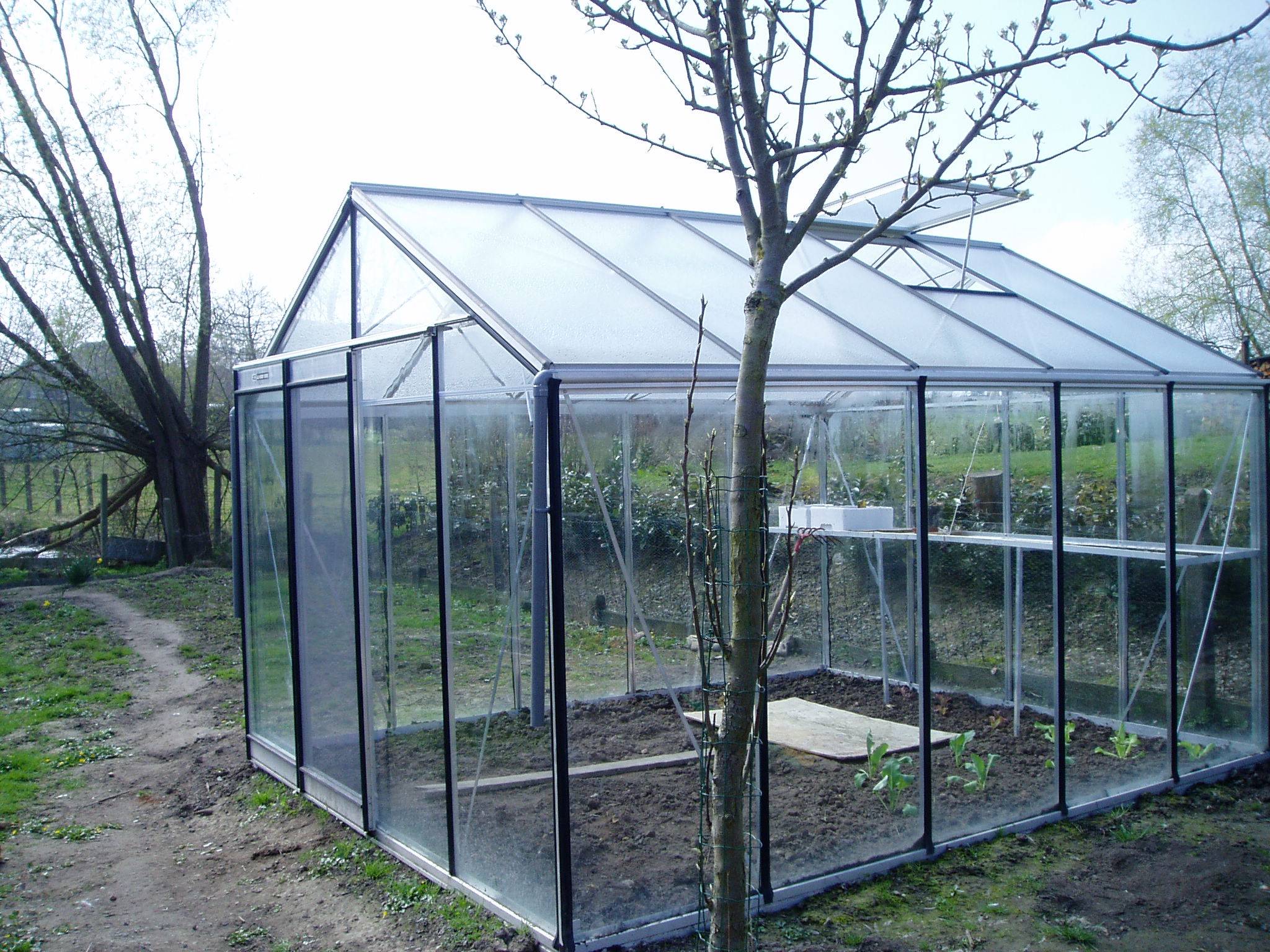 ACD Pro - Serre de jardin verre trempé aluminium brut 11,35 m² Prestige R305H Aluline avec embase - ACD Pro - Image 4